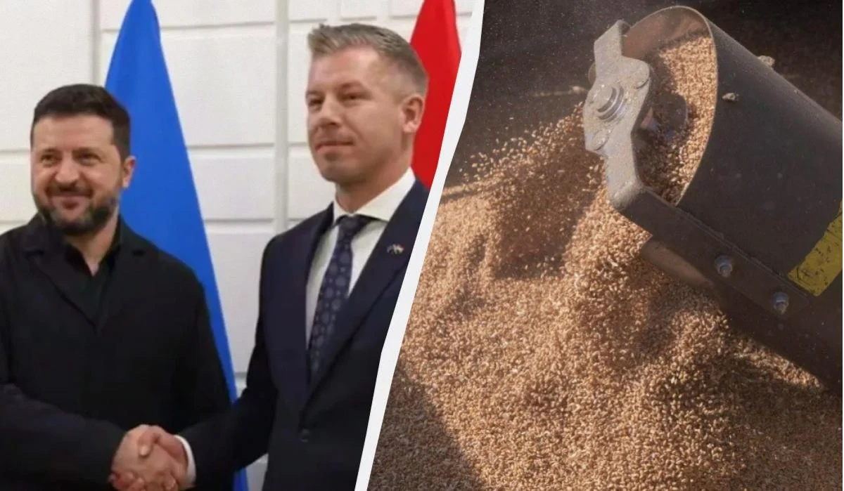 Зеленський попросив Угорщину дозволити транзит українського зерна: що відповів Мадяр